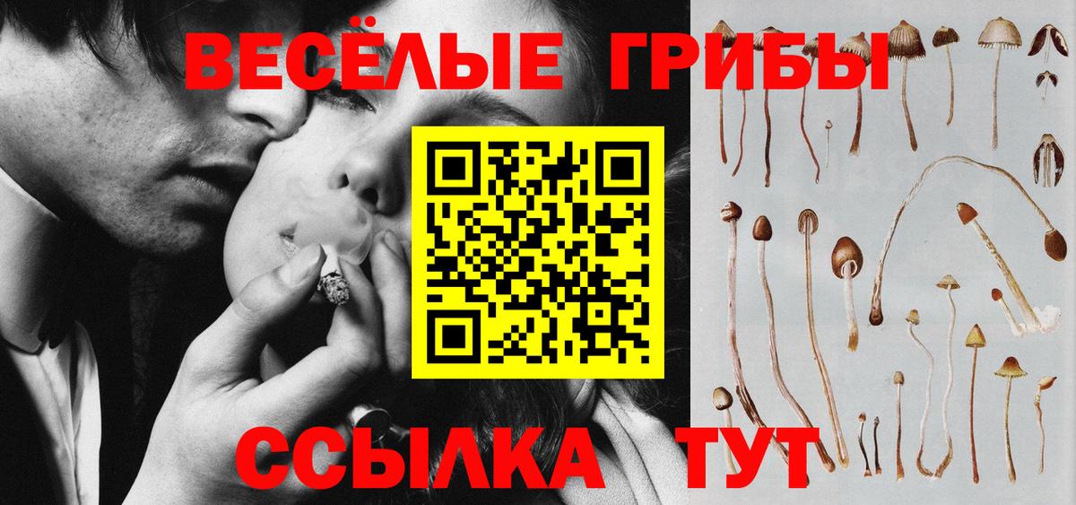 Псилоцибиновые грибы прущие грибы  Вход с VPN  наркота  Моршанск 