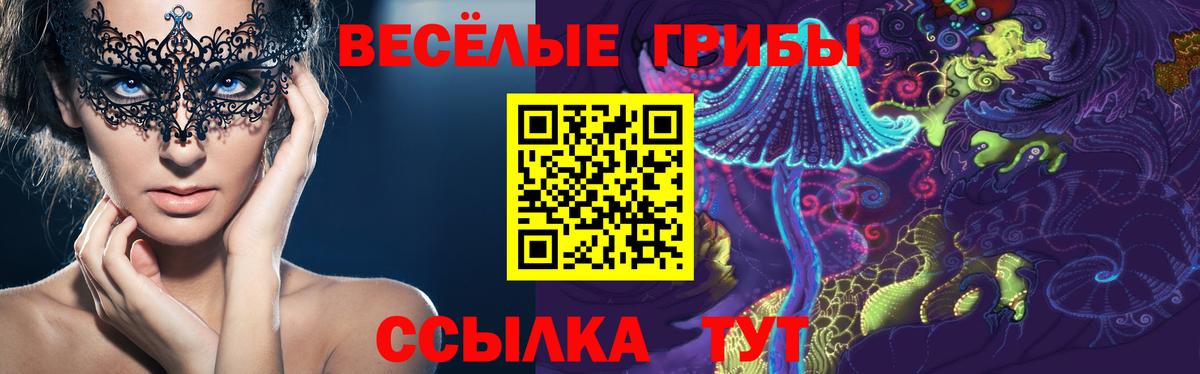Псилоцибиновые грибы GOLDEN TEACHER Моршанск